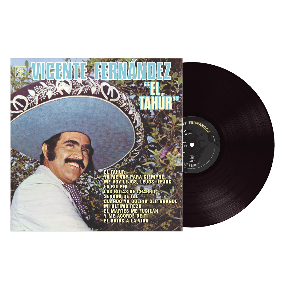 Vicente Fernández